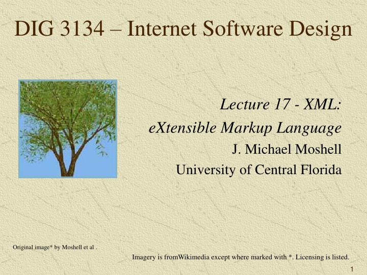 dig 3134 internet software design
