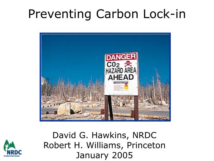 preventing carbon lock in