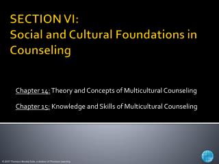 SECTION VI: Social and Cultural Foundations in Counseling