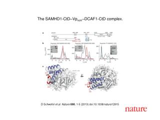 D Schwefel et al. Nature 000 , 1-5 (2013) doi:10.1038/nature12815