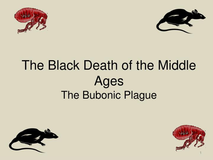 the black death of the middle ages the bubonic plague