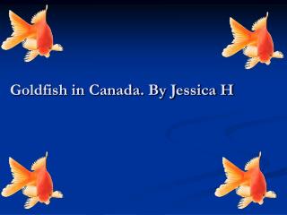 Goldfish in Canada. By Jessica H