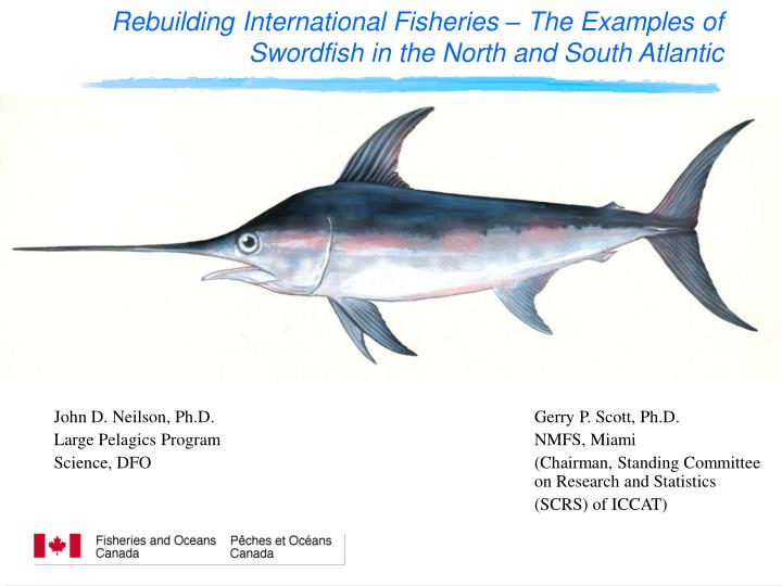 rebuilding international fisheries the examples of swordfish in the north and south atlantic
