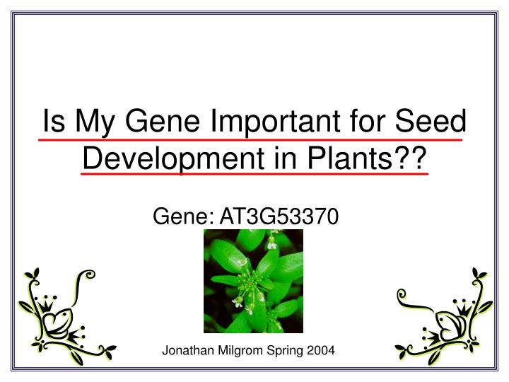 is my gene important for seed development in plants