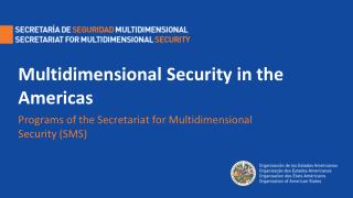 Multidimensional Security in the Americas