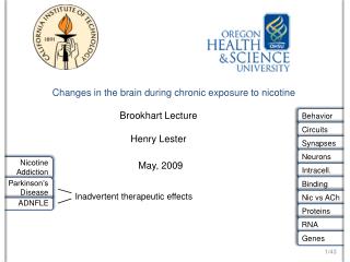 Changes in the brain during chronic exposure to nicotine