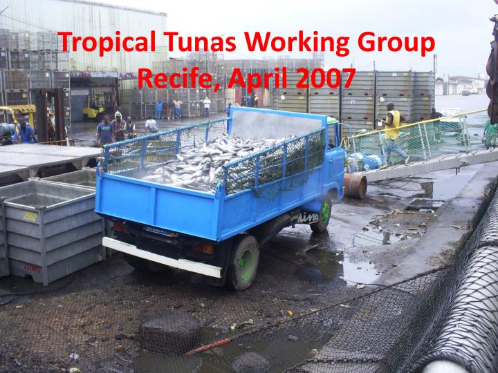 tropical tunas working group recife april 2007
