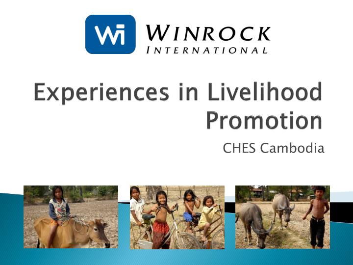 experiences in livelihood promotion