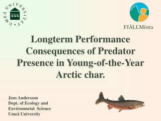 Longterm P erformance Consequences of Predator Presence in Young-of-the-Year Arctic char.