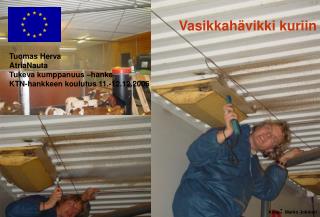 vasikkah vikki kuriin