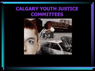 CALGARY YOUTH JUSTICE COMMITTEES