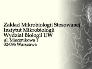 Dr hab., prof. UW Jacek Bielecki – kierownik (+22) 554 13 04 e-mail: jbielecki@biol.uw.pl
