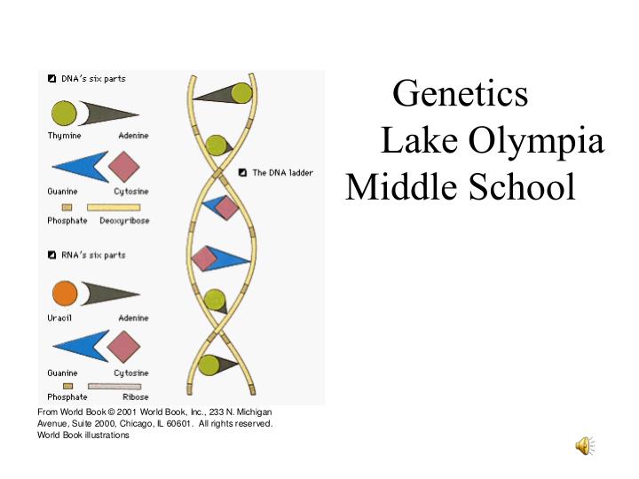 genetics lake olympia middle school