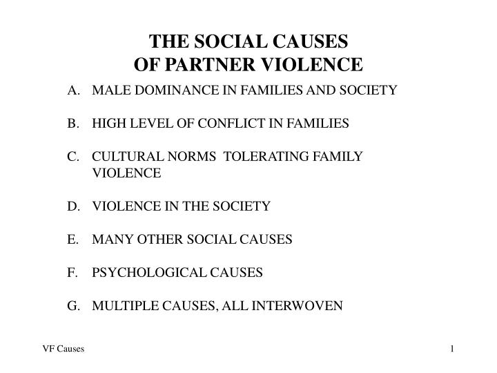 the social causes of partner violence