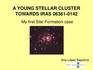 A YOUNG STELLAR CLUSTER TOWARDS IRAS 06361-0142