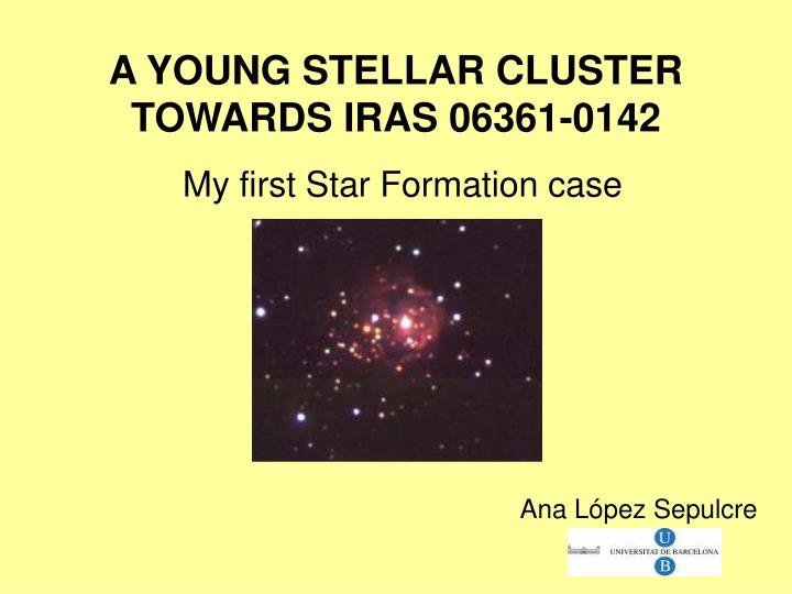a young stellar cluster towards iras 06361 0142