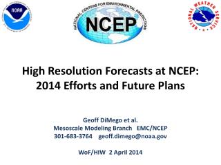 High Resolution Forecasts at NCEP: 2014 Efforts and Future Plans