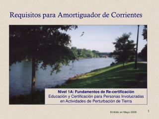 Requisitos para Amortiguador de Corrientes
