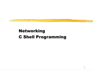 Networking C Shell Programming
