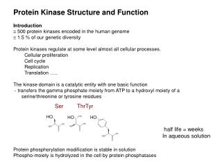 Protein Kinase Structure and Function Introduction
