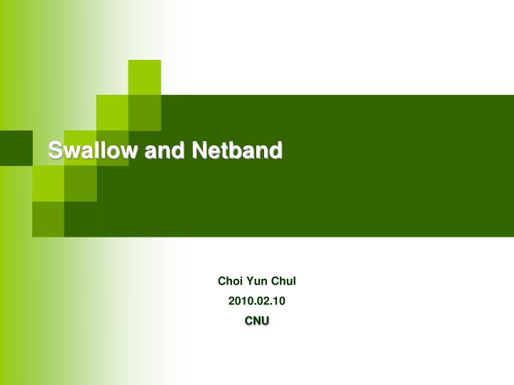 swallow and netband