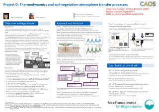 Project D: Thermodynamics and soil-vegetation-atmosphere transfer processes