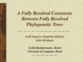 A Fully Resolved Consensus Between Fully Resolved Phylogenetic Trees