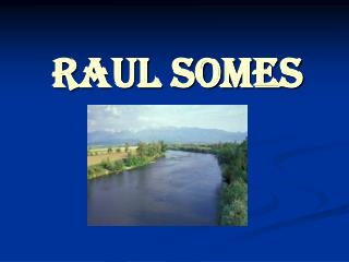 raul somes