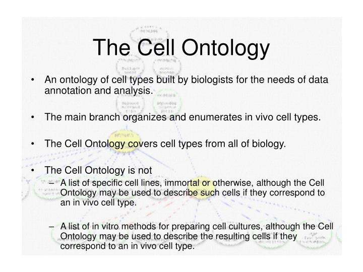 the cell ontology