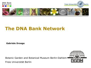 The DNA Bank Network