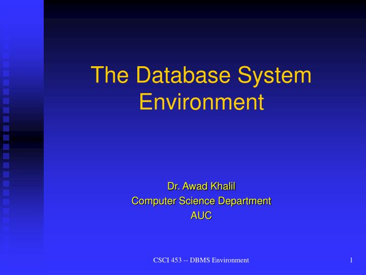 the database system environment