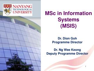 MSc in Information Systems (MSIS)