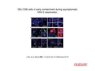 J Zhu et al. Nature 000 , 1-4 (2013) doi:10.1038/nature12110