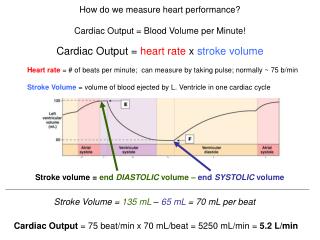 How do we measure heart performance? Cardiac Output = Blood Volume per Minute!