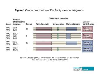 Robson EJD et al. (2006) A PANorama of PAX genes in cancer and development