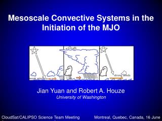 Mesoscale Convective Systems in the Initiation of the MJO