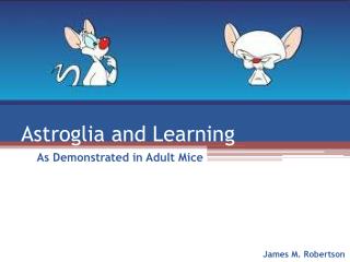 Astroglia and Learning