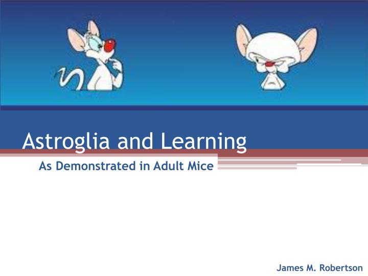 astroglia and learning