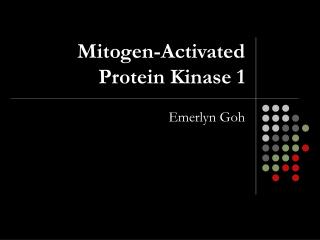Mitogen-Activated Protein Kinase 1