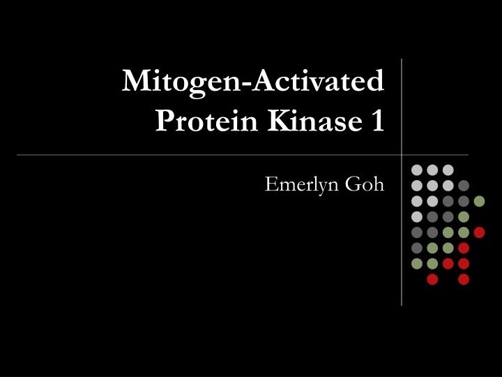 mitogen activated protein kinase 1