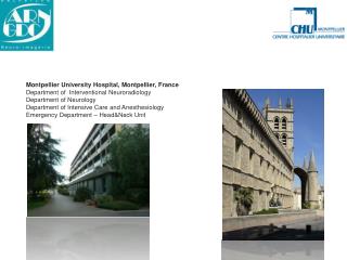 Montpellier University Hospital, Montpellier, France Department of Interventional Neuroradiology