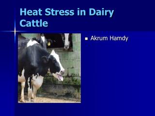 Heat Stress in Dairy Cattle