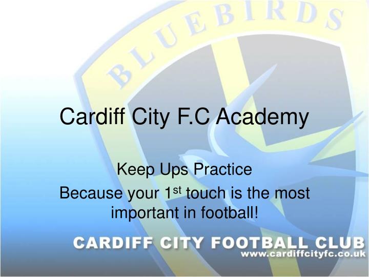 cardiff city f c academy