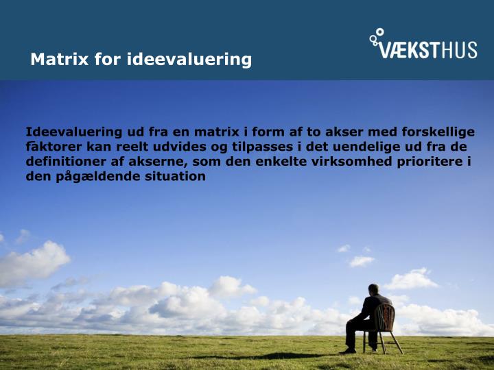 matrix for ideevaluering