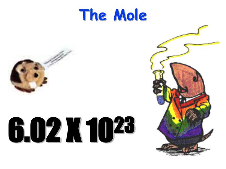 the mole