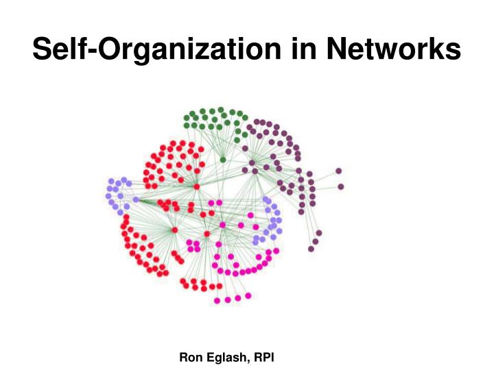 self organization in networks