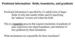 Positional information: fields, boundaries, and gradients