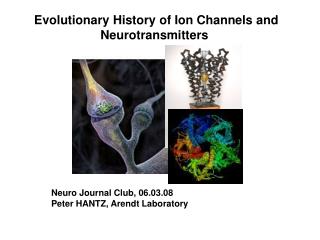Evolutionary History of Ion Channels and Neurotransmitters
