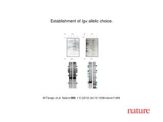 M Farago et al. Nature 000 , 1-5 (2012) doi:10.1038/nature11496