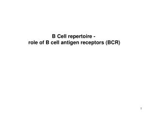 B Cell repertoire - role of B cell antigen receptors (BCR)